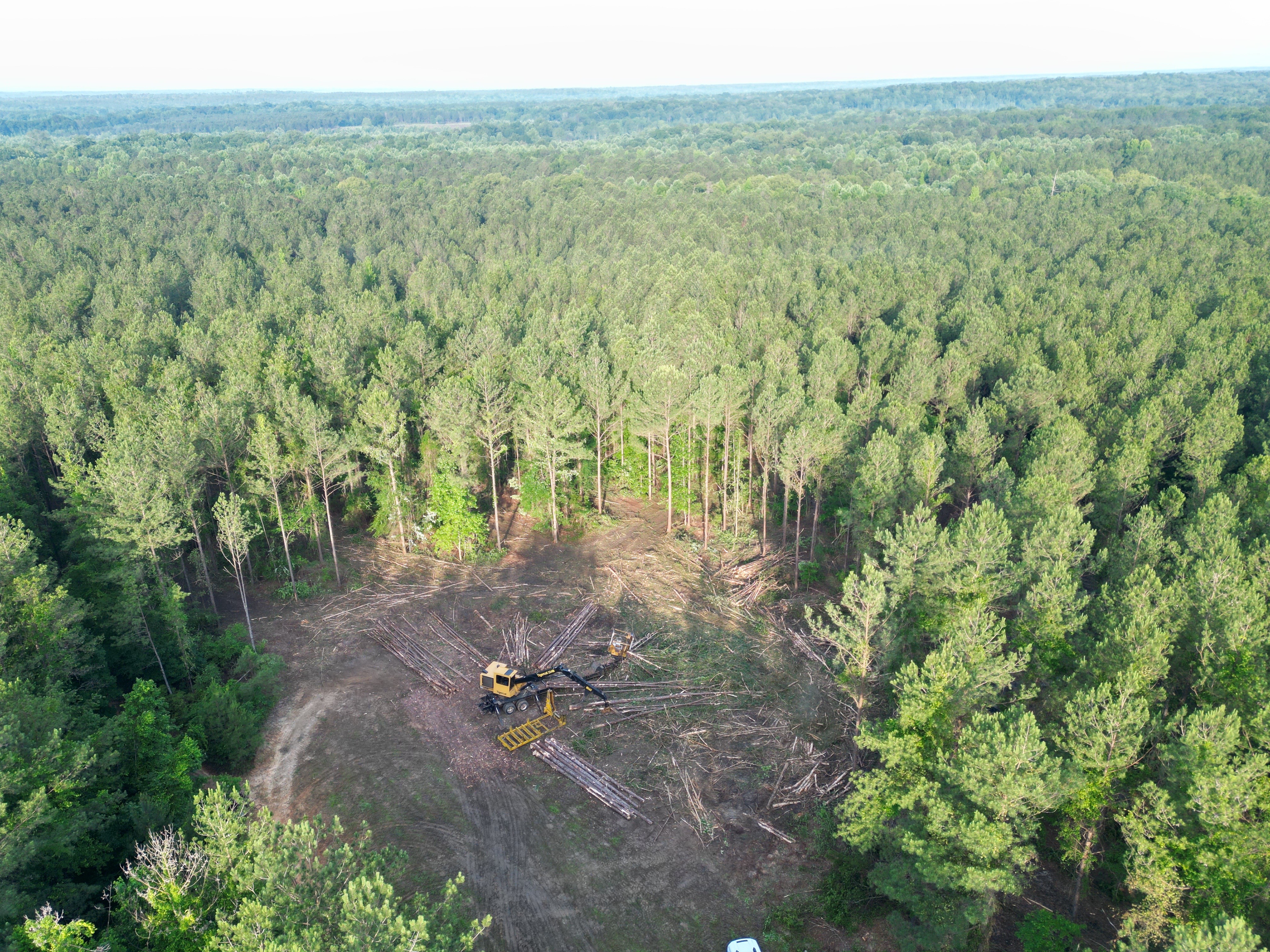 Timber Harvesting